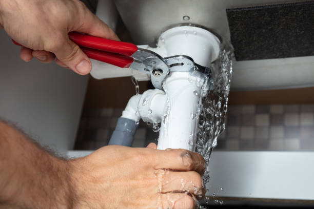 Best Carpet water damage restoration  in , MO