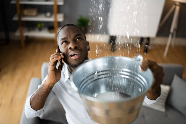 Best Flood restoration services  in , MO