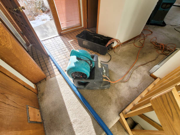 Best Water damage repair service  in , MO