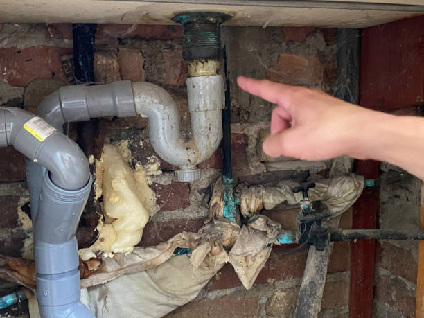 Best Fire Damage Restoration  in , MO